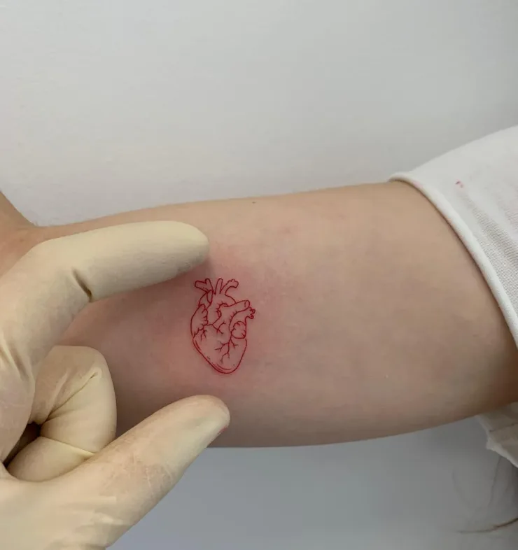 WhatsApp Image 2026-01-23 at 08.27.25 (2)