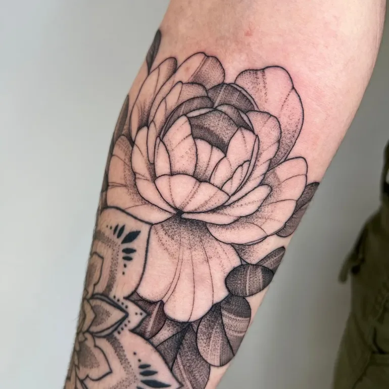 WhatsApp Image 2026-01-23 at 08.27.35 (1)