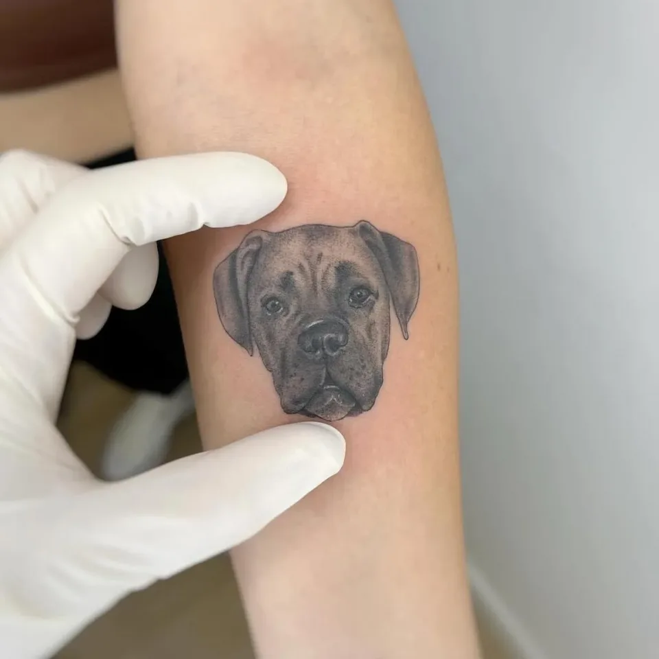 WhatsApp Image 2026-01-23 at 08.27.41