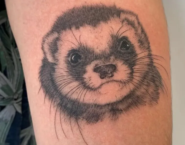 WhatsApp Image 2026-01-23 at 08.27.42